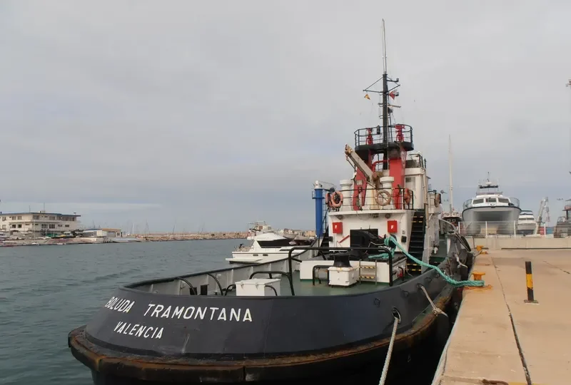 BOLUDA TRAMONTANA General Cargo IMO 7408500 photo 10