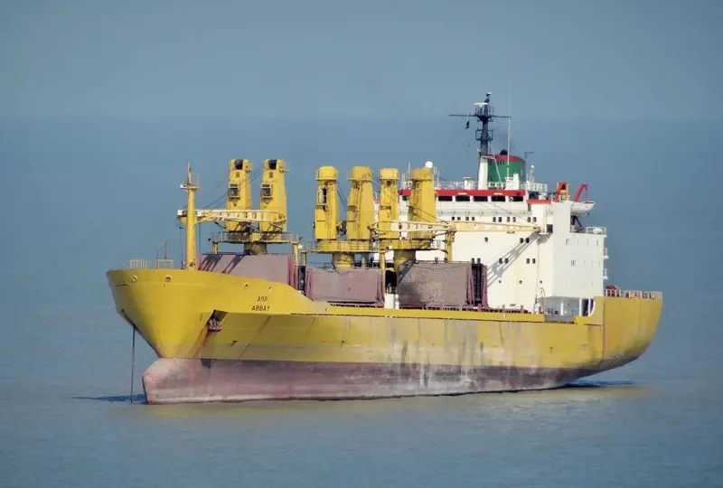 ABBEY Bulk Carrier IMO 7408809
