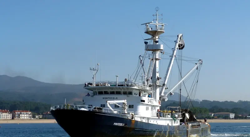 MONTECELO General Cargo IMO 7409152 photo 3