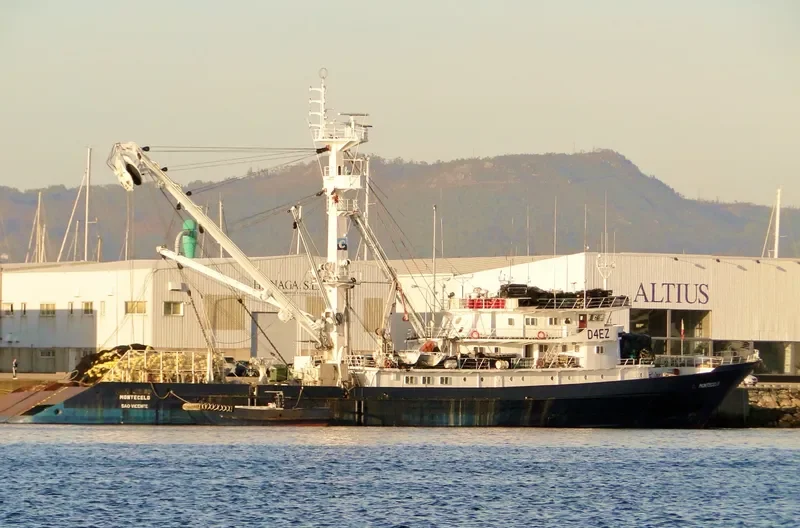 MONTECELO General Cargo IMO 7409152 photo 8