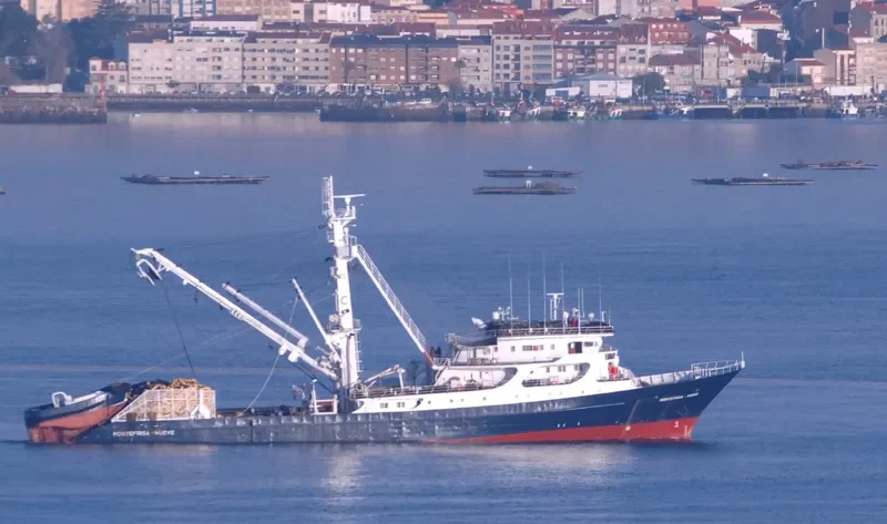 MONTEFRISA NUEVE General Cargo IMO 7409176
