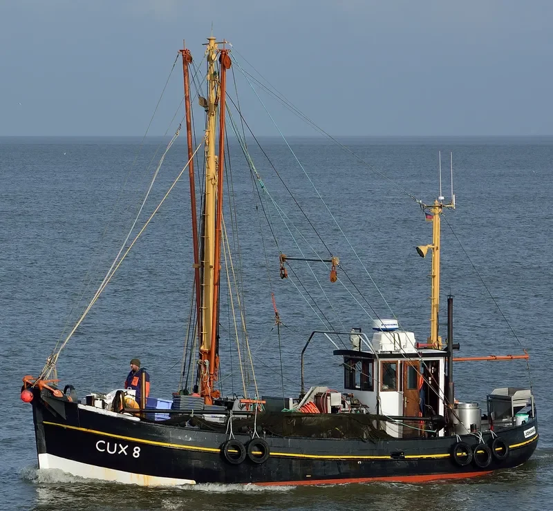 TINTA Fishing Vessel IMO 7410199 photo 2