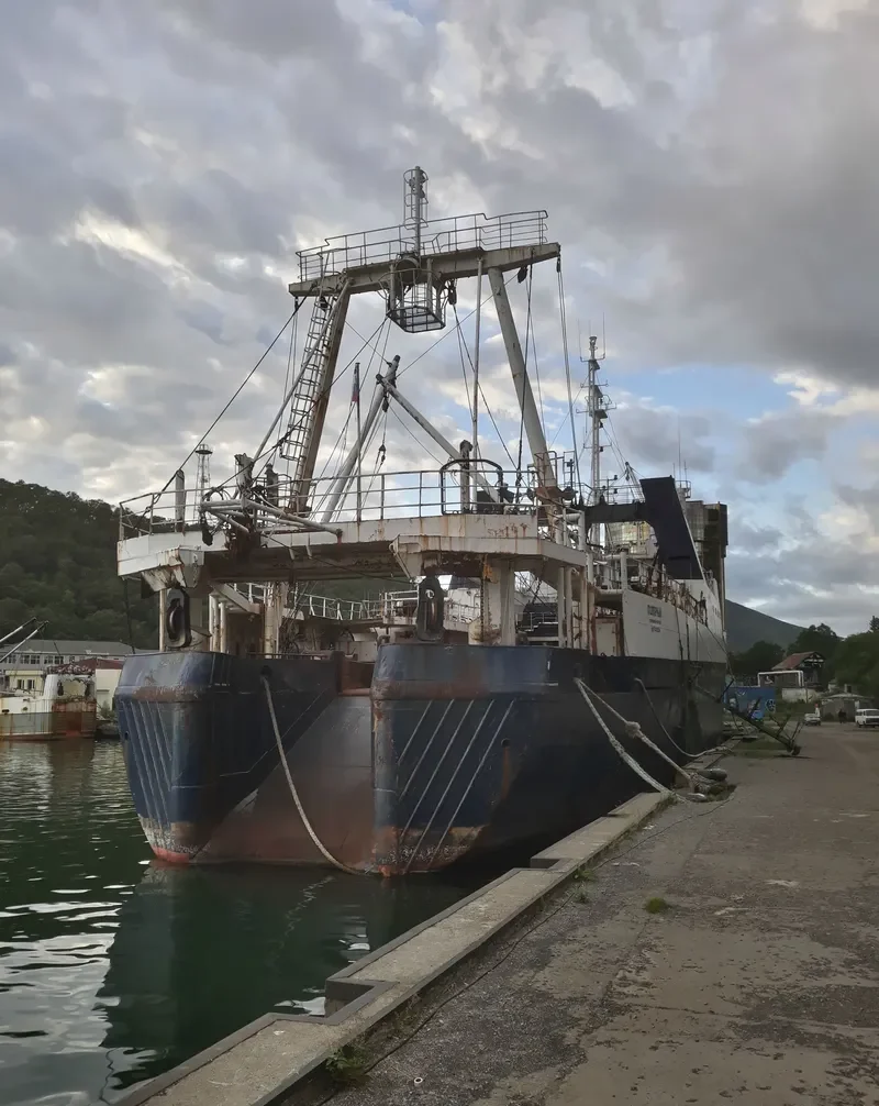 POLYARNIY General Cargo IMO 7410204 photo 5