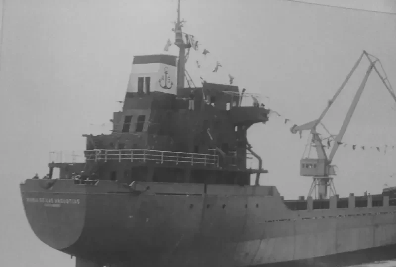 GIGEK General Cargo IMO 7410723