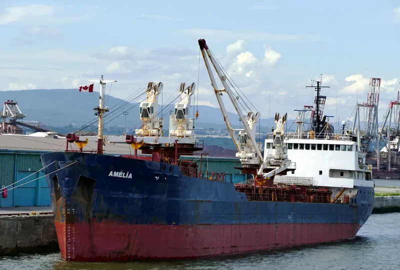 AMELIA DESGAGNES General Cargo IMO 7411167 photo 2