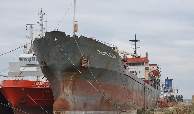 GOLDEN ELPIDA General Cargo IMO 7411583 photo 2