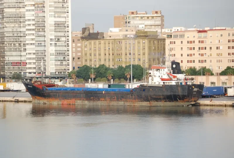 NIKA Z General Cargo IMO 7411600 photo 6