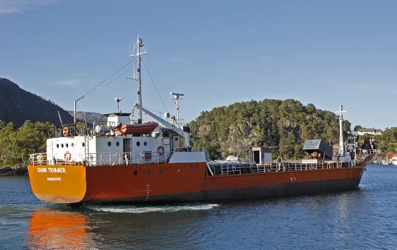 CHAIN TRIMMER General Cargo IMO 7411648 photo 5