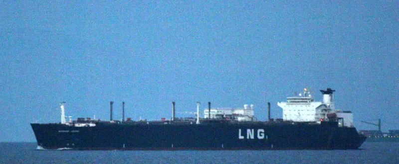 MADAME General Cargo IMO 7411961 photo 4