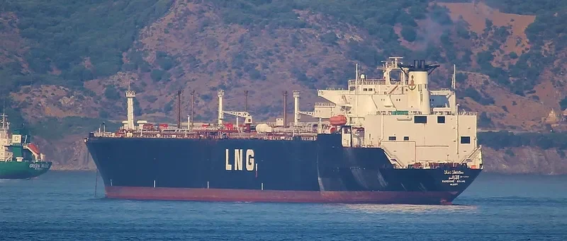 MADAME General Cargo IMO 7411961 photo 10