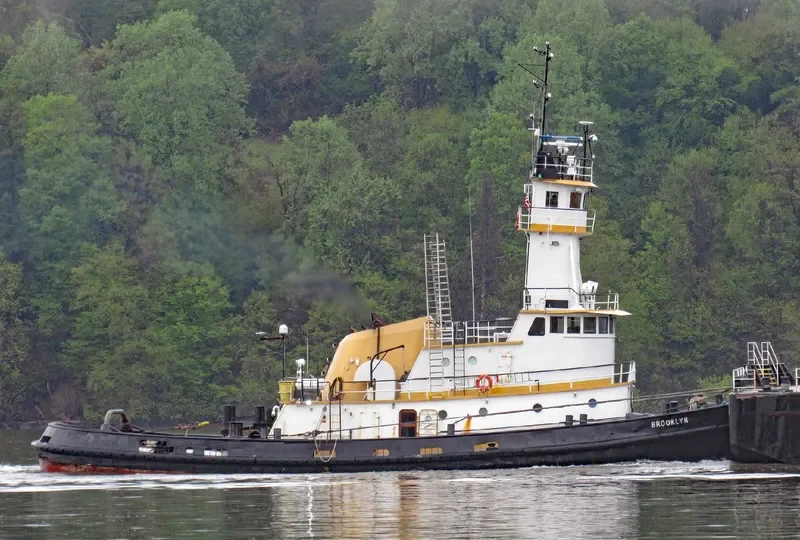 BROOKLYN General Cargo IMO 7412109 photo 7