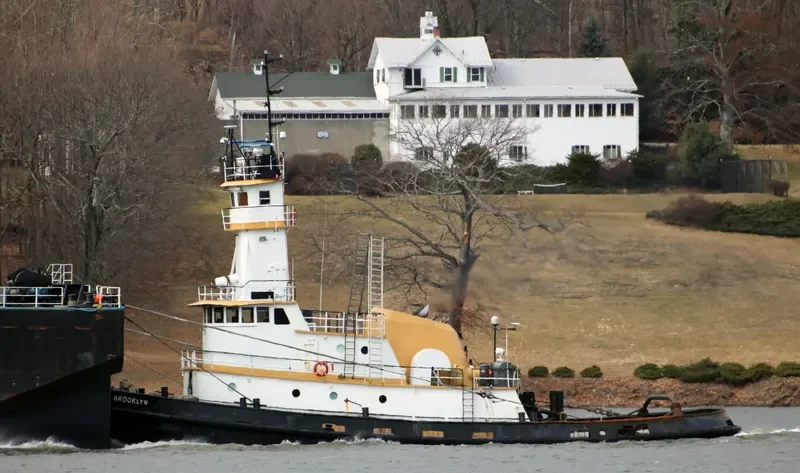 BROOKLYN General Cargo IMO 7412109 photo 8