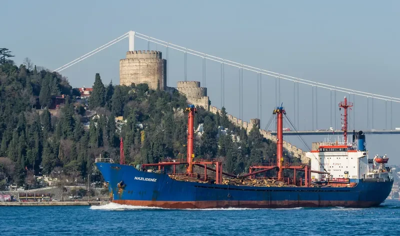 NAZLI DENIZ General Cargo IMO 7412472 photo 3