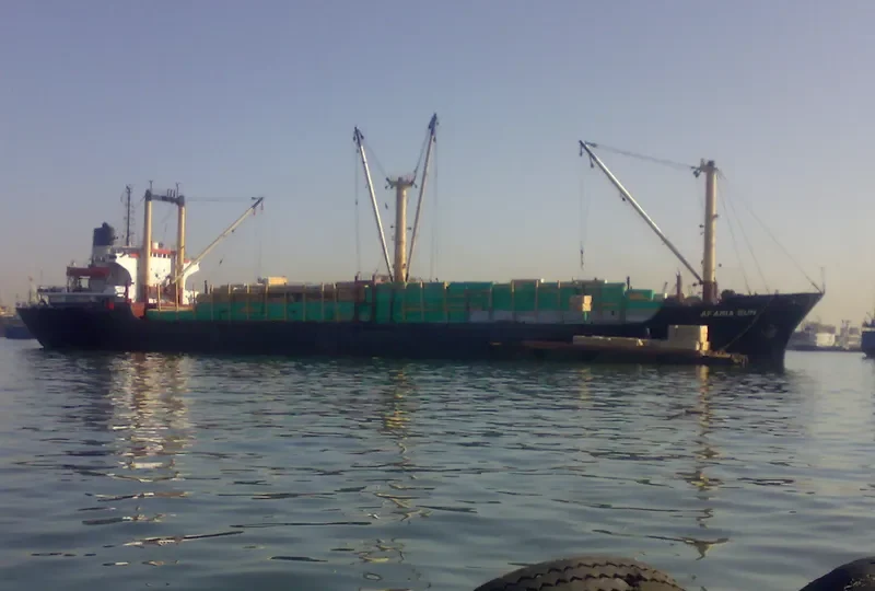 AFAMIA SUN General Cargo IMO 7412575
