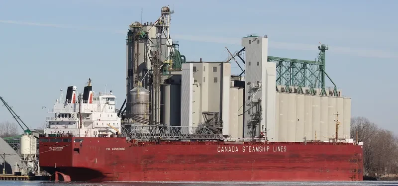CSL ASSINIBOINE Bulk Carrier IMO 7413218 photo 8