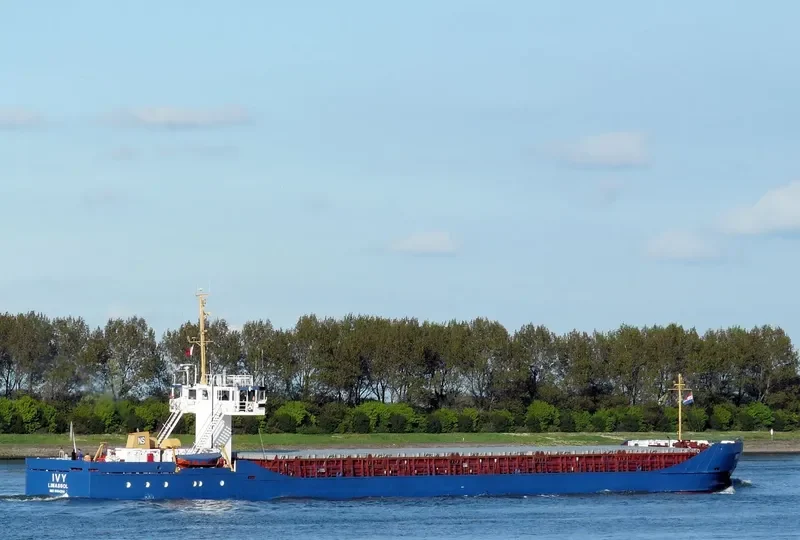 IVY I General Cargo IMO 7413878