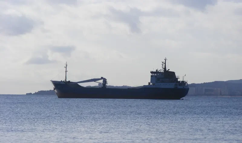 IVY I General Cargo IMO 7413878 photo 3