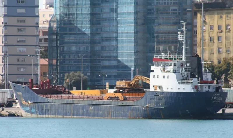 HADDAD 1 General Cargo IMO 7413921 photo 5
