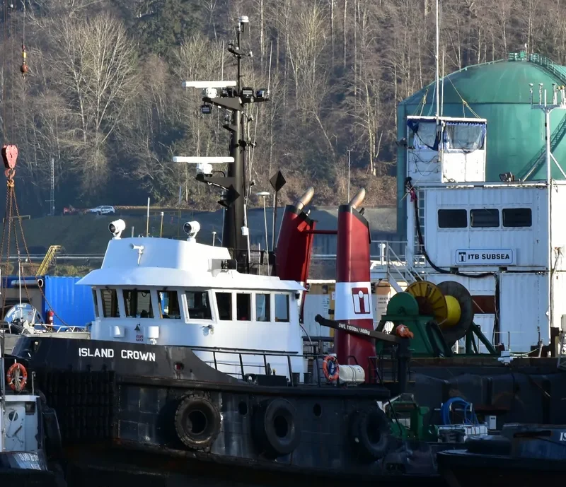 ISLAND CROWN Tug Boat IMO 7414092 photo 6