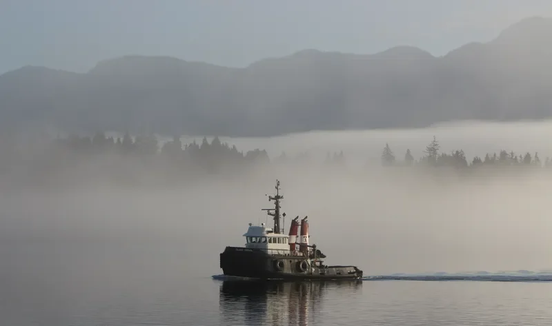 ISLAND CROWN Tug Boat IMO 7414092 photo 7