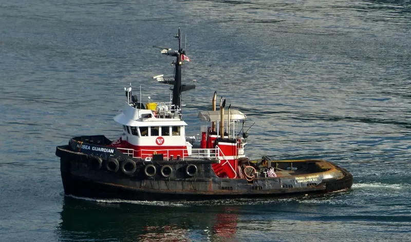 HAISEA GUARDIAN Tug Boat IMO 7414107 photo 3