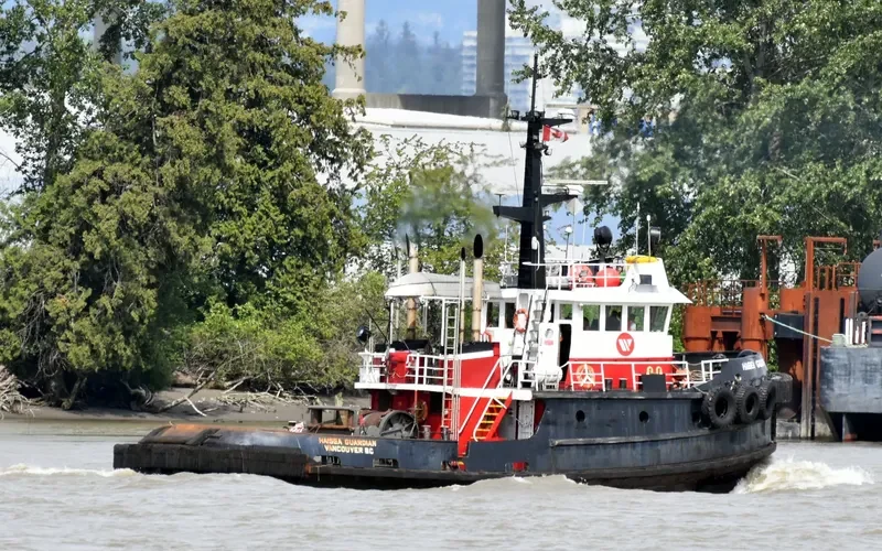 HAISEA GUARDIAN Tug Boat IMO 7414107 photo 4