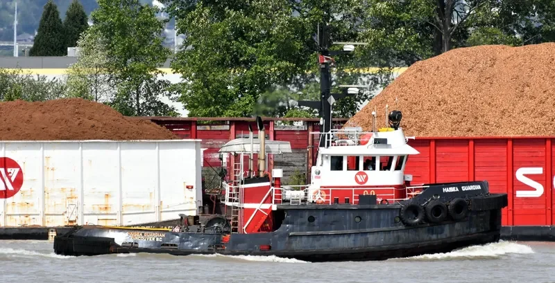 HAISEA GUARDIAN Tug Boat IMO 7414107 photo 5