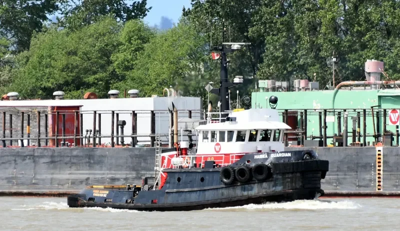HAISEA GUARDIAN Tug Boat IMO 7414107 photo 6