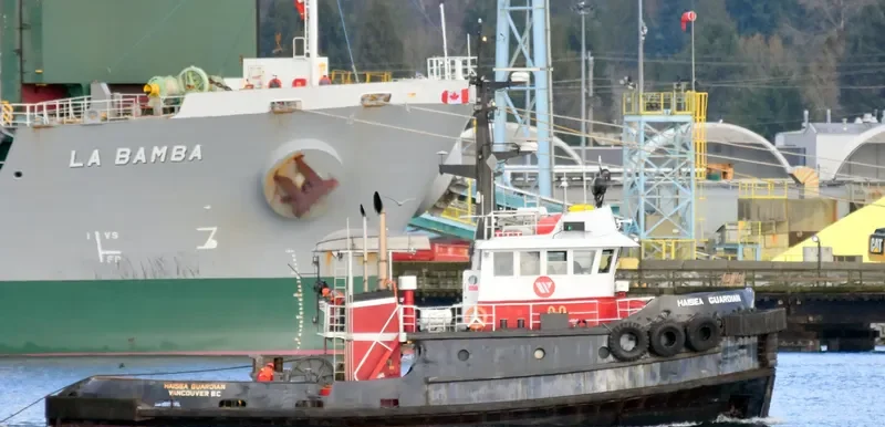 HAISEA GUARDIAN Tug Boat IMO 7414107 photo 8