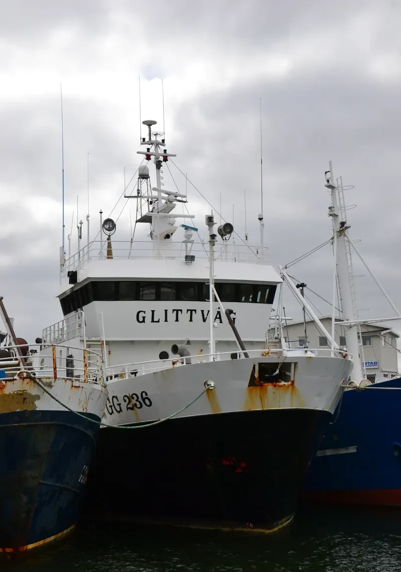 LITT General Cargo IMO 7414212