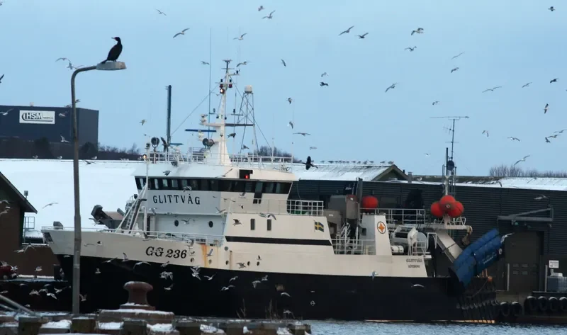 LITT General Cargo IMO 7414212 photo 5
