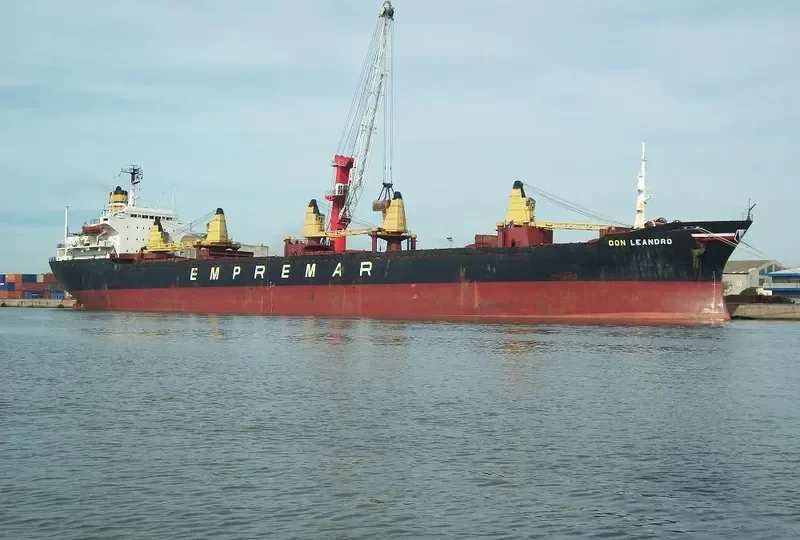 DON LEANDRO Bulk Carrier IMO 7414444 photo 2