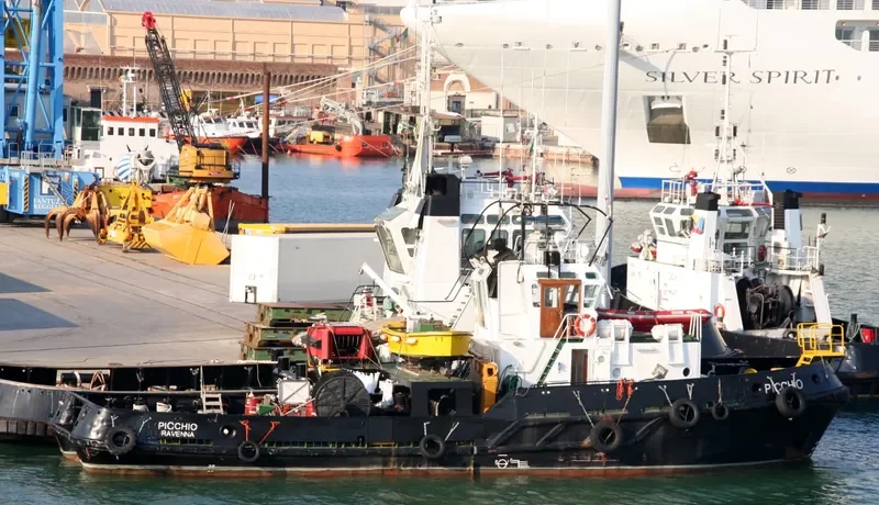 PICCHIO Tug Boat IMO 7416038