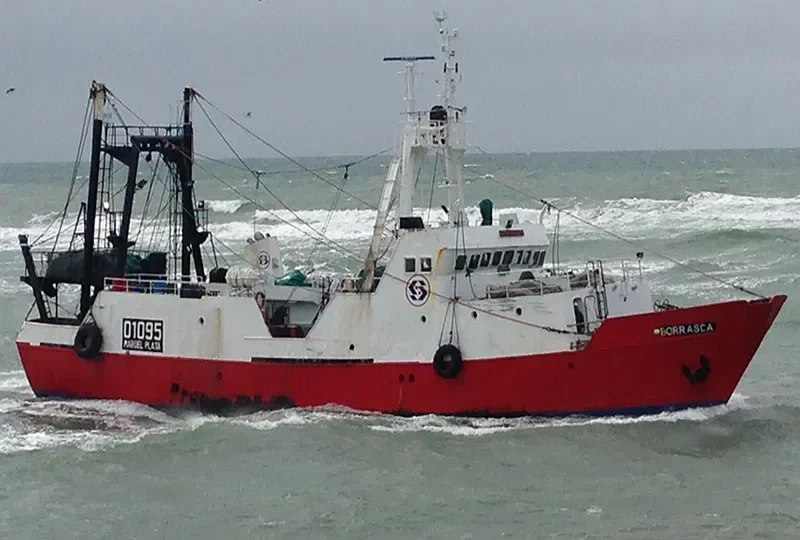BORRASCA General Cargo IMO 7416131