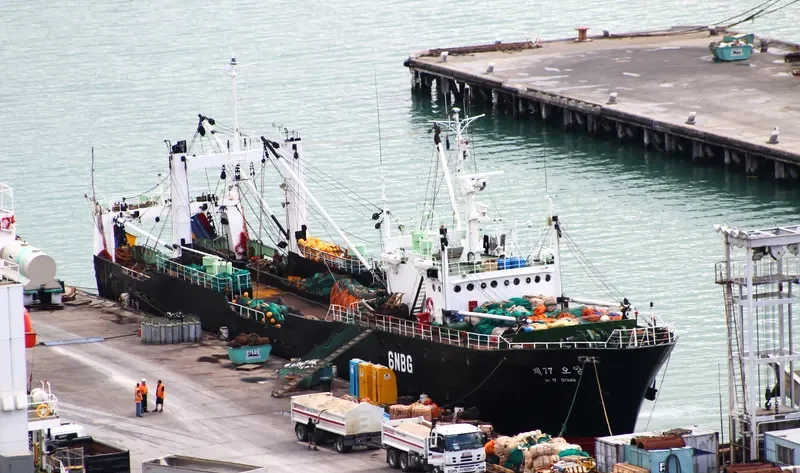 OYANG NO.77 General Cargo IMO 7416612 photo 2