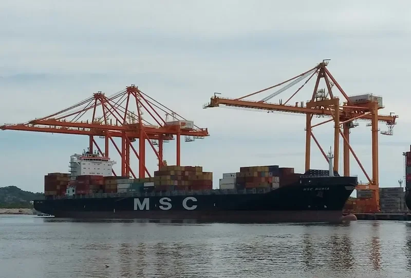 RIA Container Ship IMO 7416911