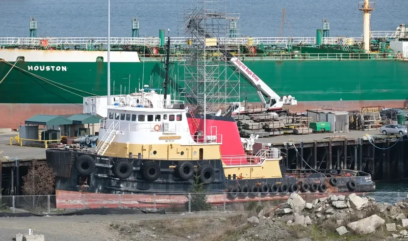 SEA VOYAGER II General Cargo IMO 7417317 photo 7