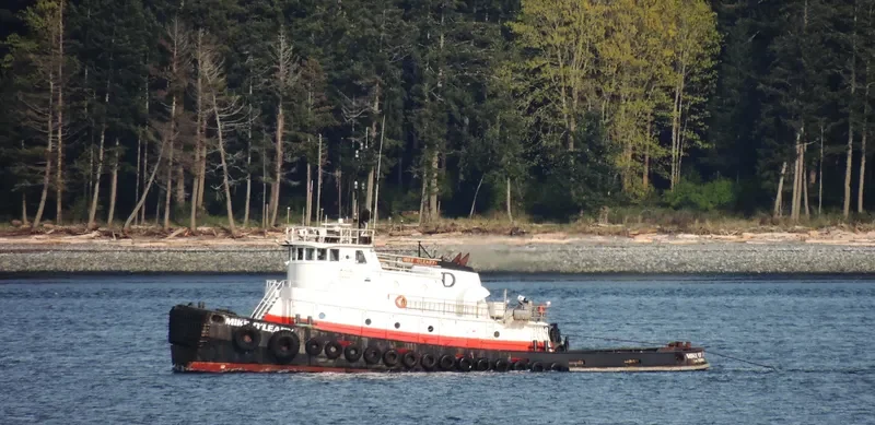 MIKE O'LEARY Tug Boat IMO 7417367 photo 10