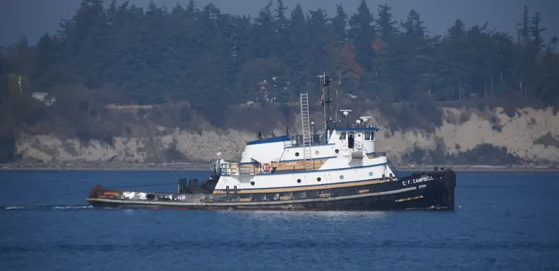 C.F.CAMPBELL Tug Boat IMO 7417379 photo 8