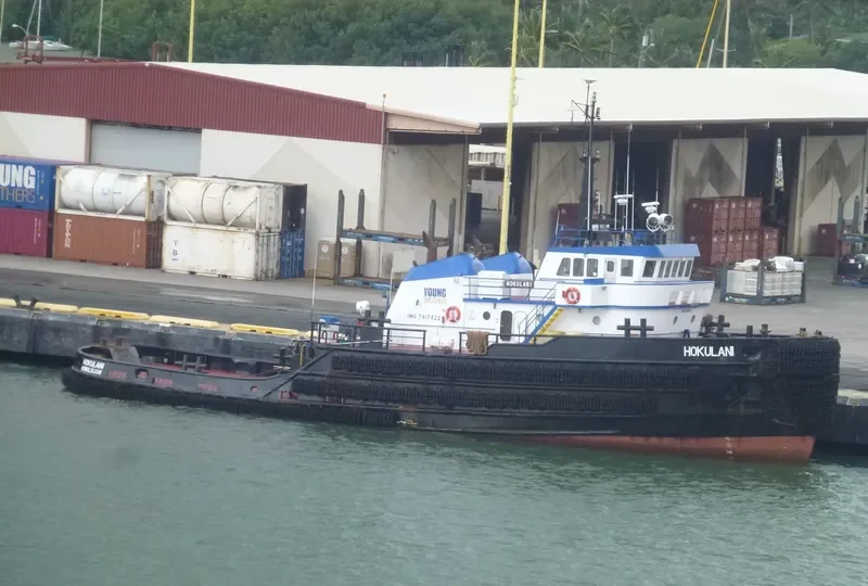 HOKULANI General Cargo IMO 7417422