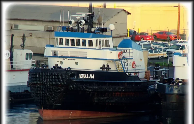 HOKULANI General Cargo IMO 7417422 photo 4