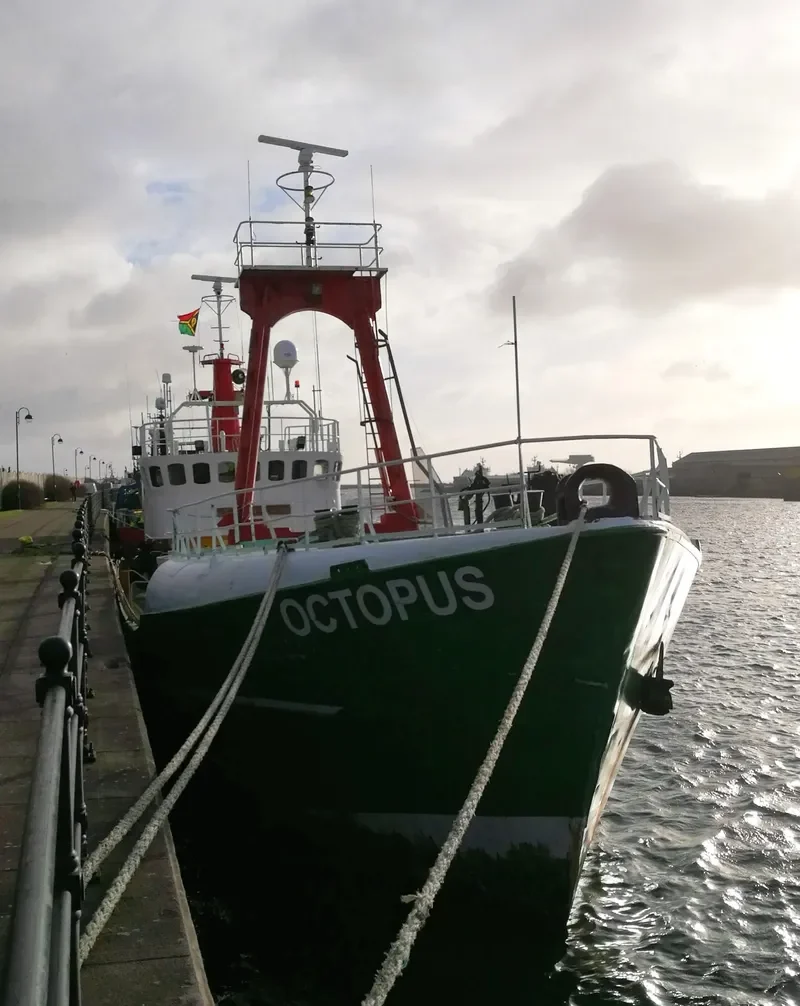 OCTOPUS GUARD VSL General Cargo IMO 7417678