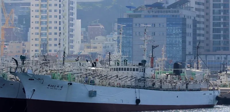 NO.302 SEO LIM General Cargo IMO 7417757