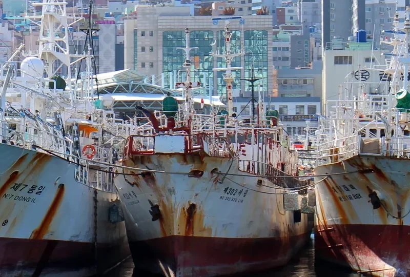 NO.302 SEO LIM General Cargo IMO 7417757 photo 2