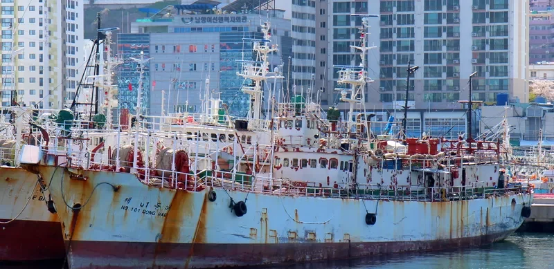 101 DONG HAE General Cargo IMO 7417862 photo 4