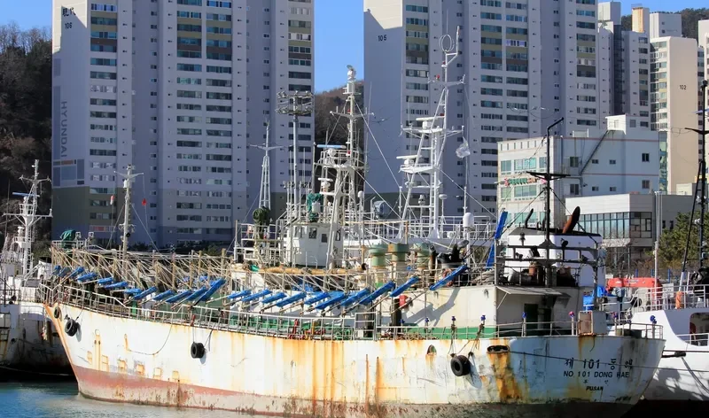 101 DONG HAE General Cargo IMO 7417862 photo 6
