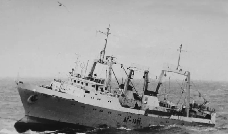 BARENTSYEVO MORE General Cargo IMO 7418488 photo 2