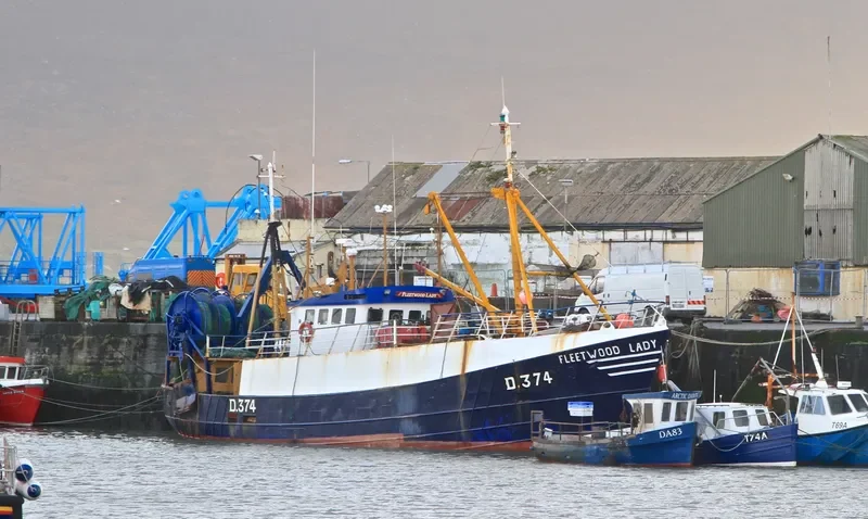 FLEETWOOD LADY General Cargo IMO 7418842 photo 2