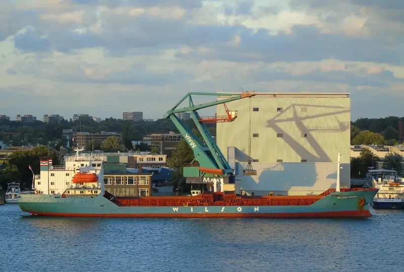 SEA SCANNER Bulk Carrier IMO 7419200 photo 4