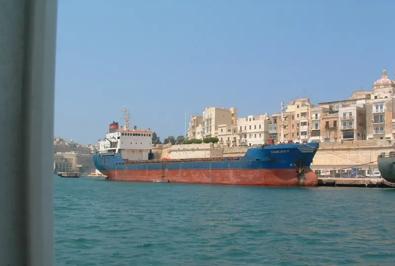 VASILIOS N General Cargo IMO 7419353 photo 8